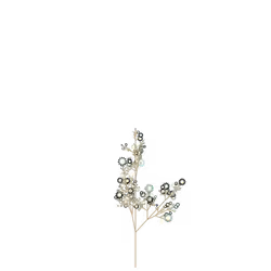 Glacier Plant
