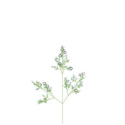 Bright Mint