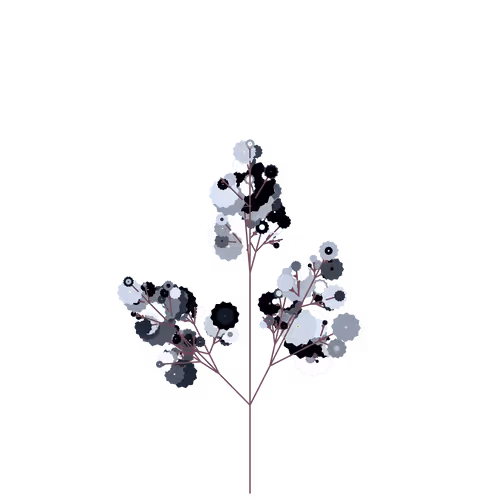 Nubloomfractal