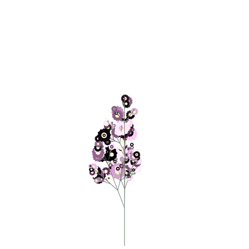 Nubloomfractal