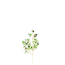 Sleepy Hemp