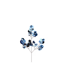 Ocean Vine