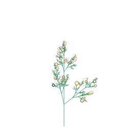 Pest Bower