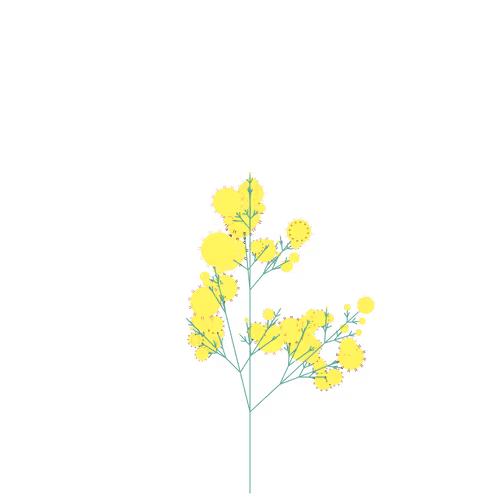 Nubloomfractal