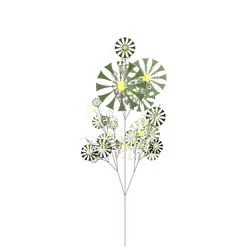 Lunar Rose