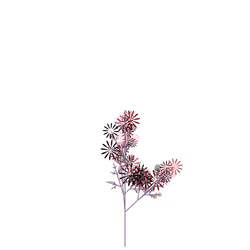 Assassin Itchweed