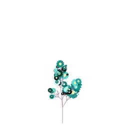 Rare Mint