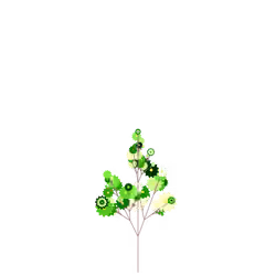 Flying Bitterweed