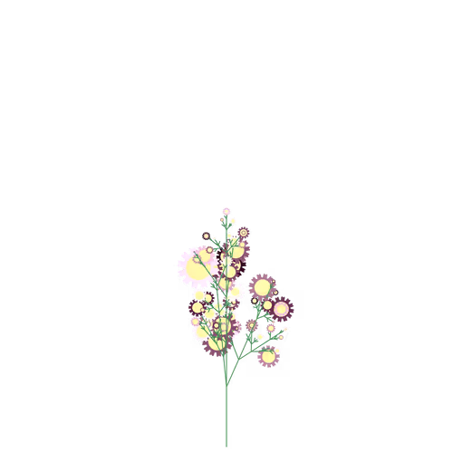 Nubloomfractal