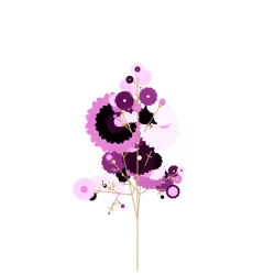 Sleepy Plant
