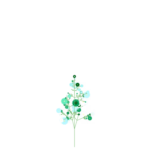 Nubloomfractal