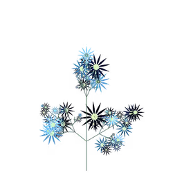 Queen's Felonwort