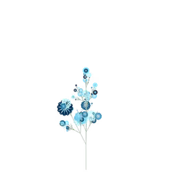 Dwarf Rantipole