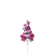 8246