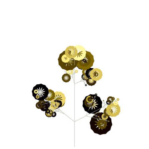 Nubloomfractal