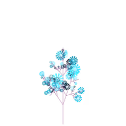 Black Saffron