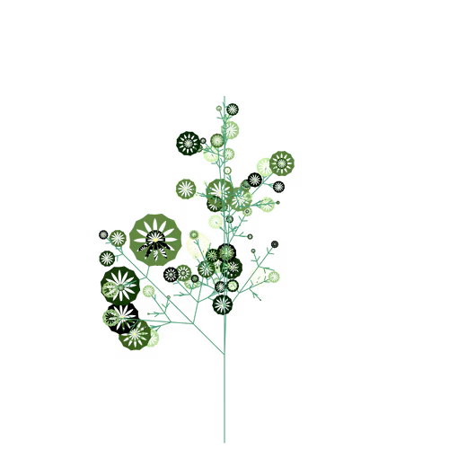Nubloomfractal