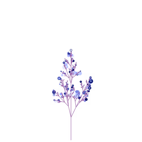 Nubloomfractal