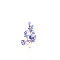 Tear Inkberry