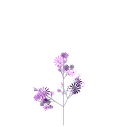 Curse Plant