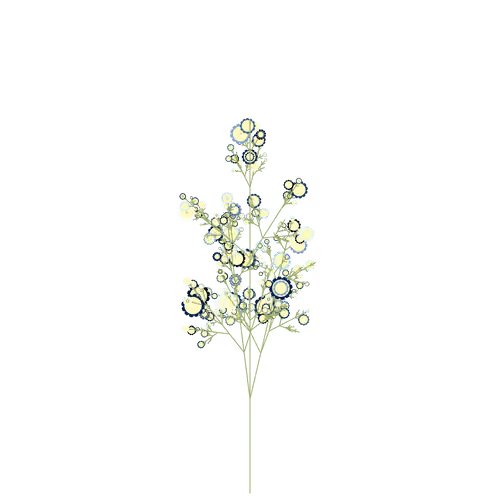 Lion Sorrel