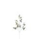 4630