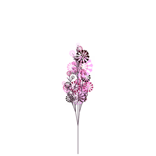Nubloomfractal