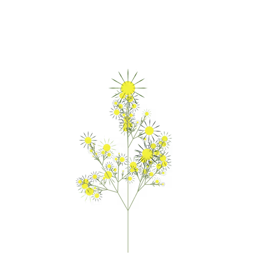 Nubloomfractal