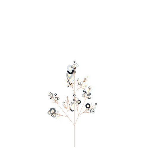 Nubloomfractal