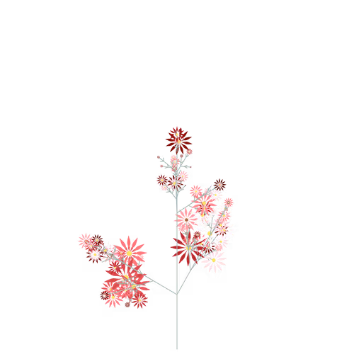 Nubloomfractal
