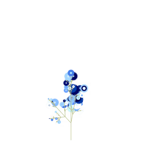 Nubloomfractal