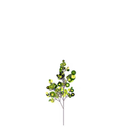 Night Poisonberry