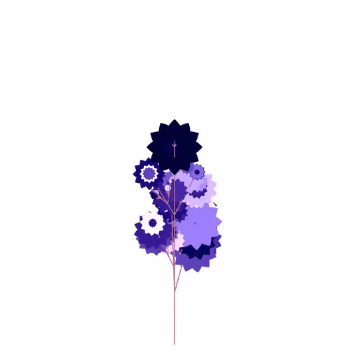 Nubloomfractal
