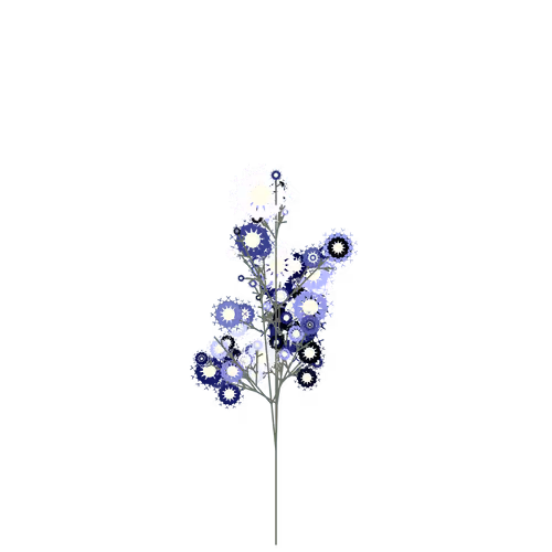 Nubloomfractal