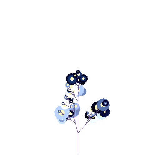 Nubloomfractal