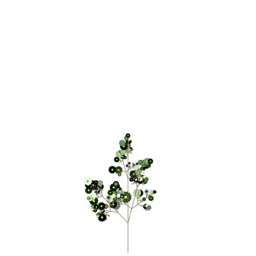 Nubloomfractal