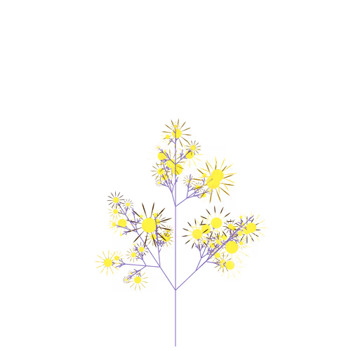 Nubloomfractal