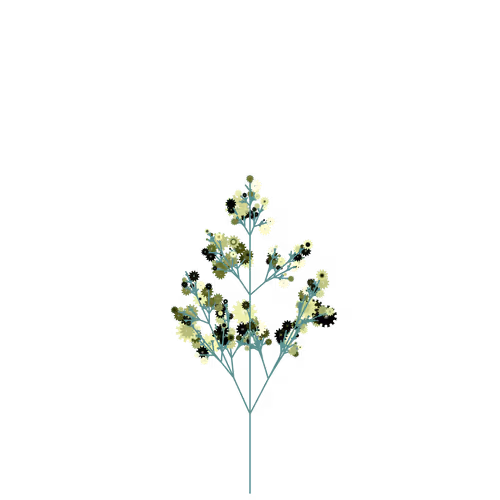 Nubloomfractal