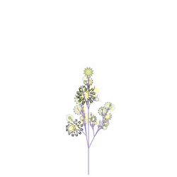 Grand Felonwood