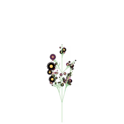 Devil's Wormwood