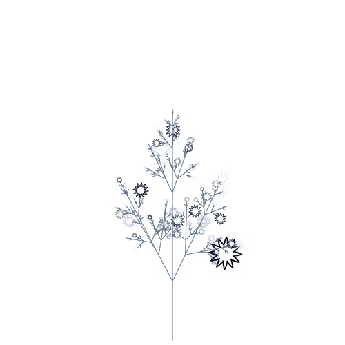 Nubloomfractal