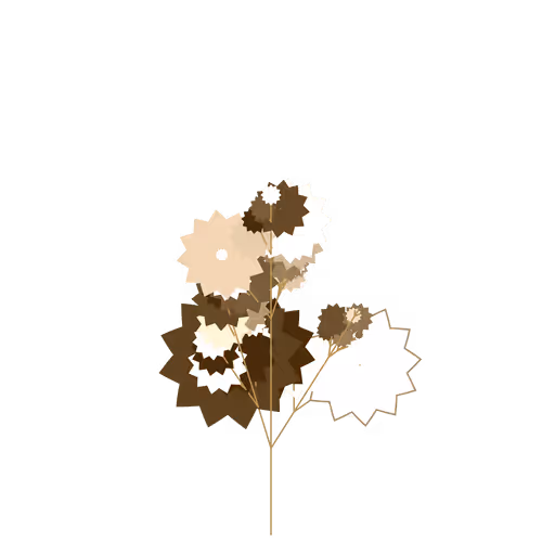 Nubloomfractal
