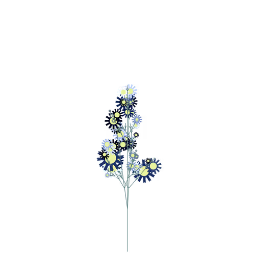 Nubloomfractal