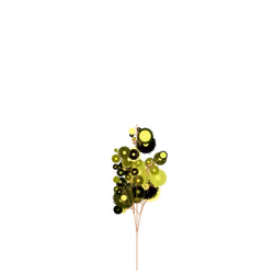 Corrupted Morel