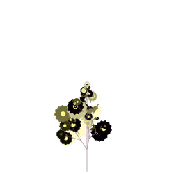 Star Sanguinary