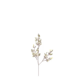 Fjord Lilac