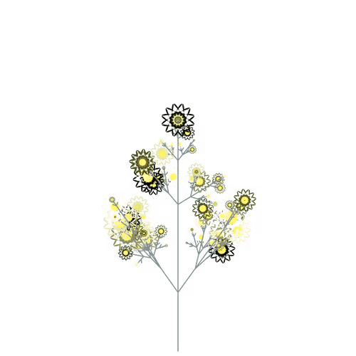 Nubloomfractal