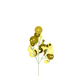 Jester Goldenglow