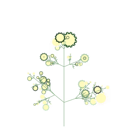 Nubloomfractal