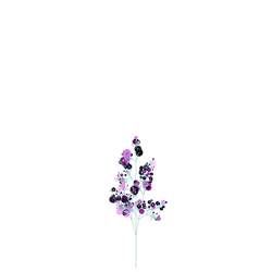 Tiny Inkberry